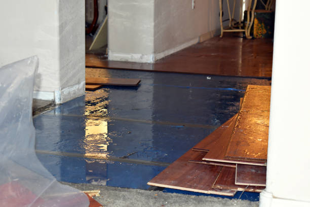 Professional Sewage Cleanup technician working in Houghton Lake, MI