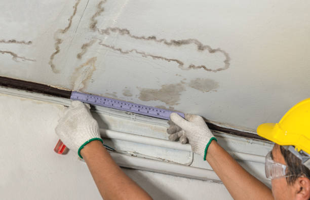 Reliable Sewage Cleanup contractor in Houghton Lake, MI by Local Water Damage Repair